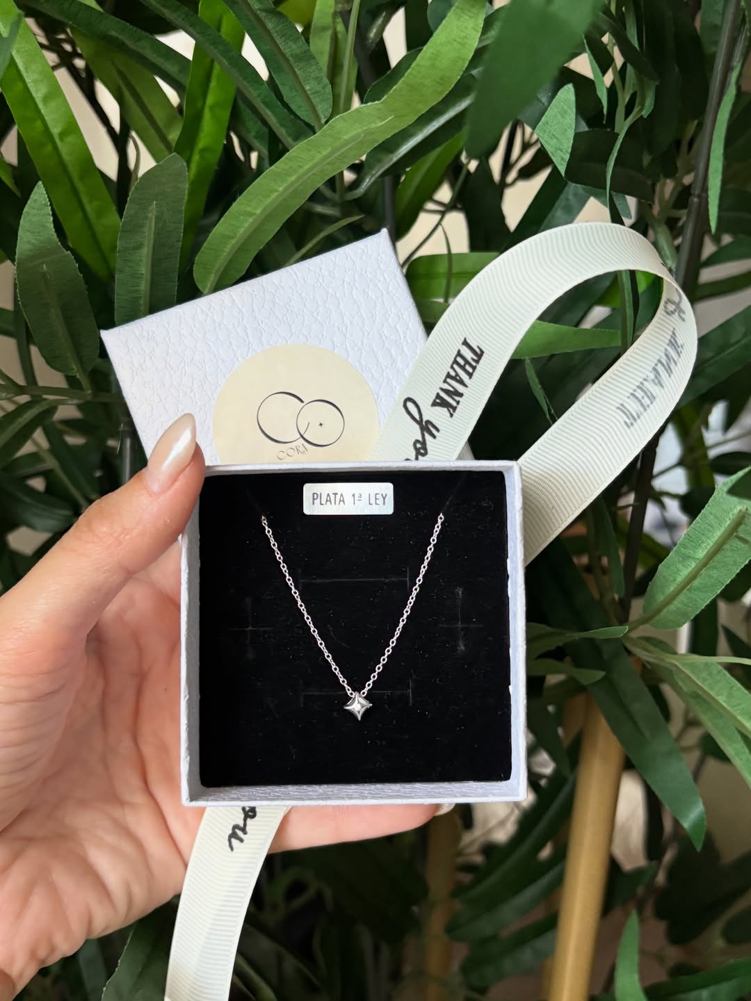 Collar Venus - Plata 925