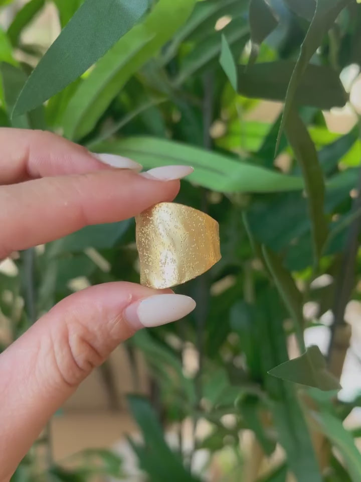 Anillo Savia - Plata 925 baño en oro